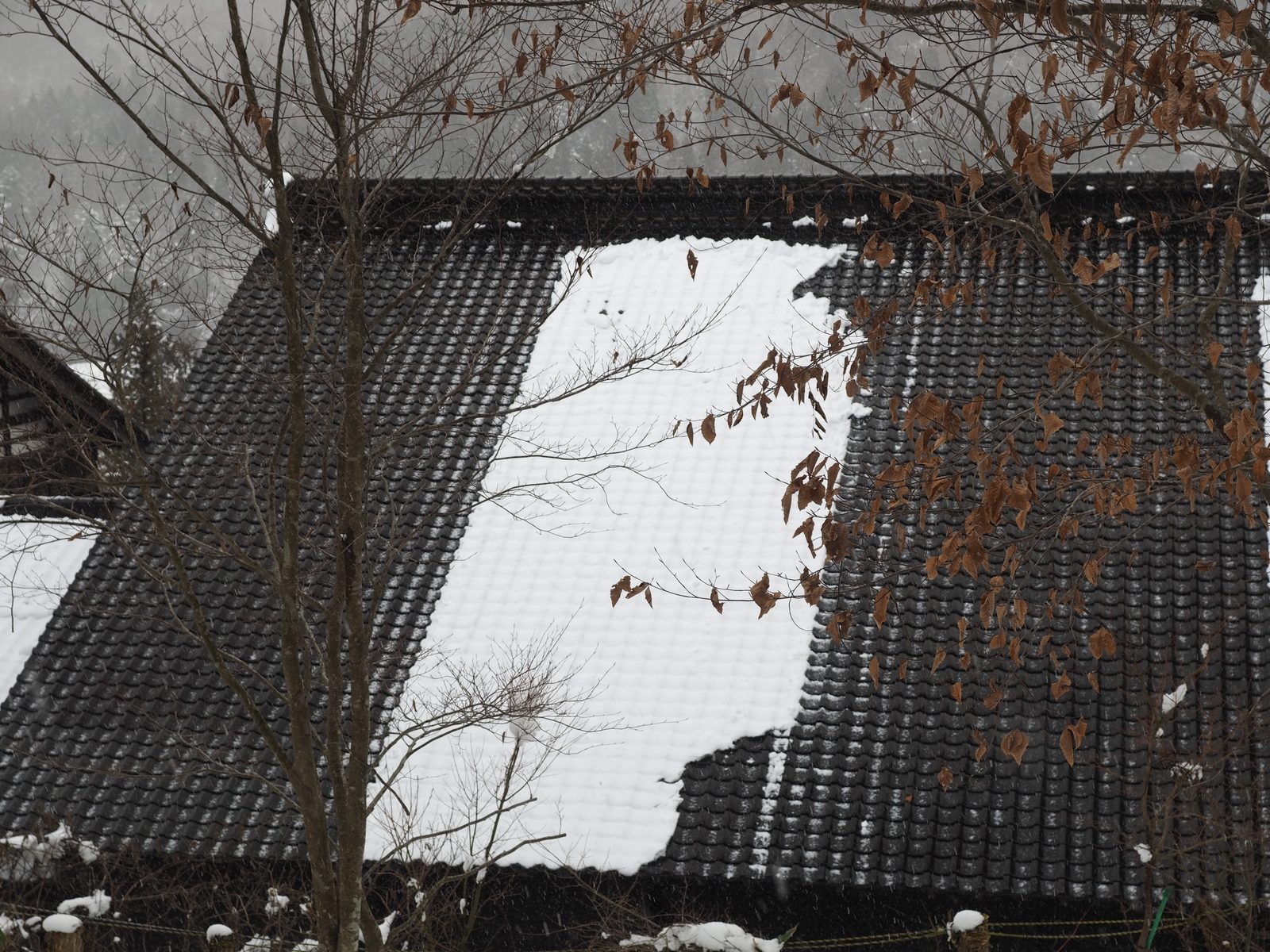 f:id:k10no3:20190126140257j:plain