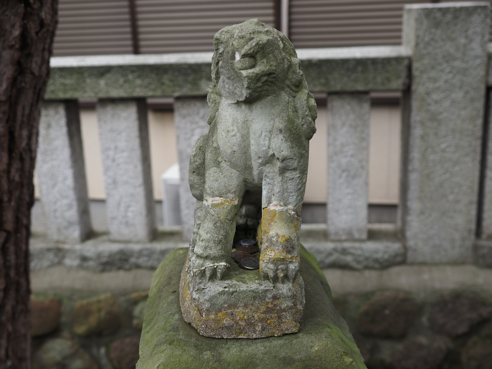 f:id:k10no3:20190203130859j:plain