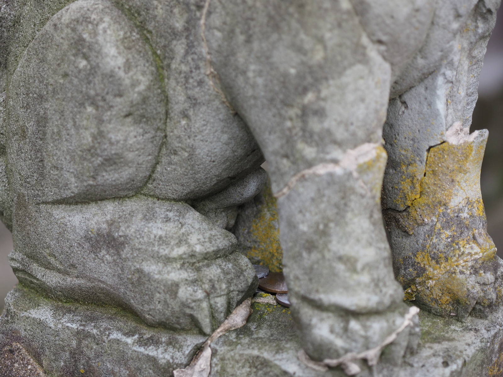 f:id:k10no3:20190203131012j:plain