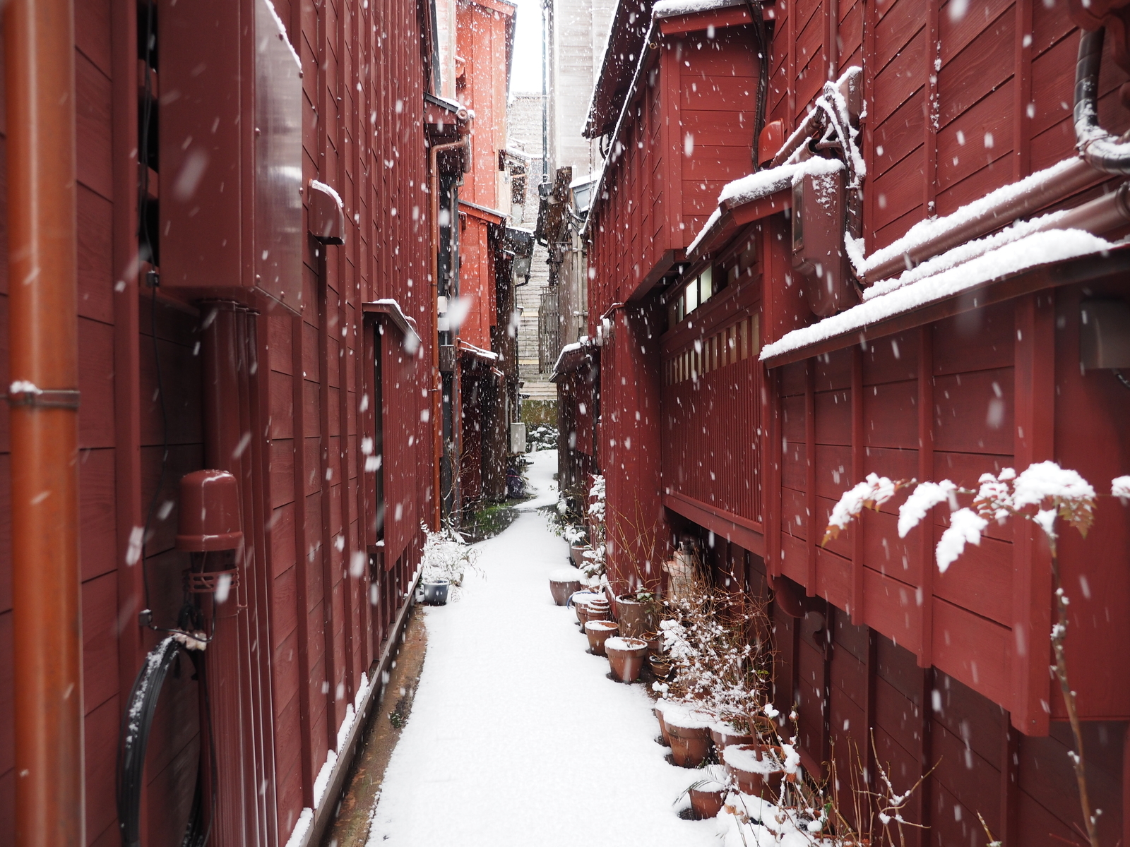 f:id:k10no3:20190210081046j:plain