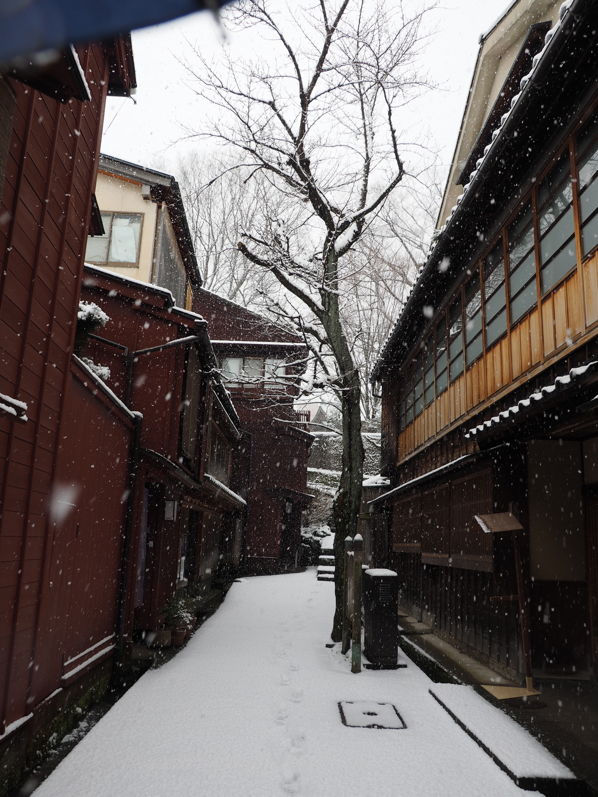 f:id:k10no3:20190210081106j:plain