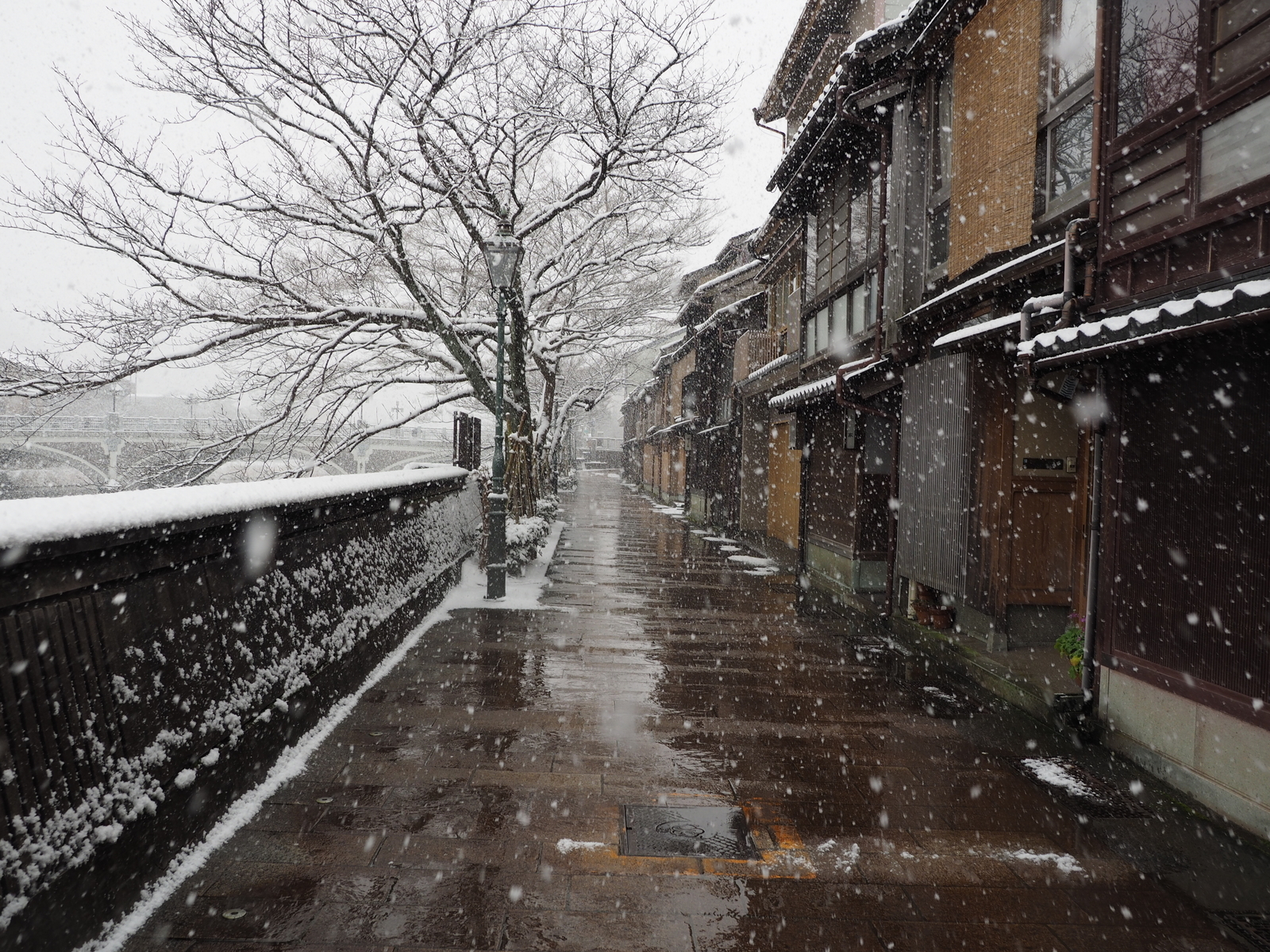 f:id:k10no3:20190210081242j:plain