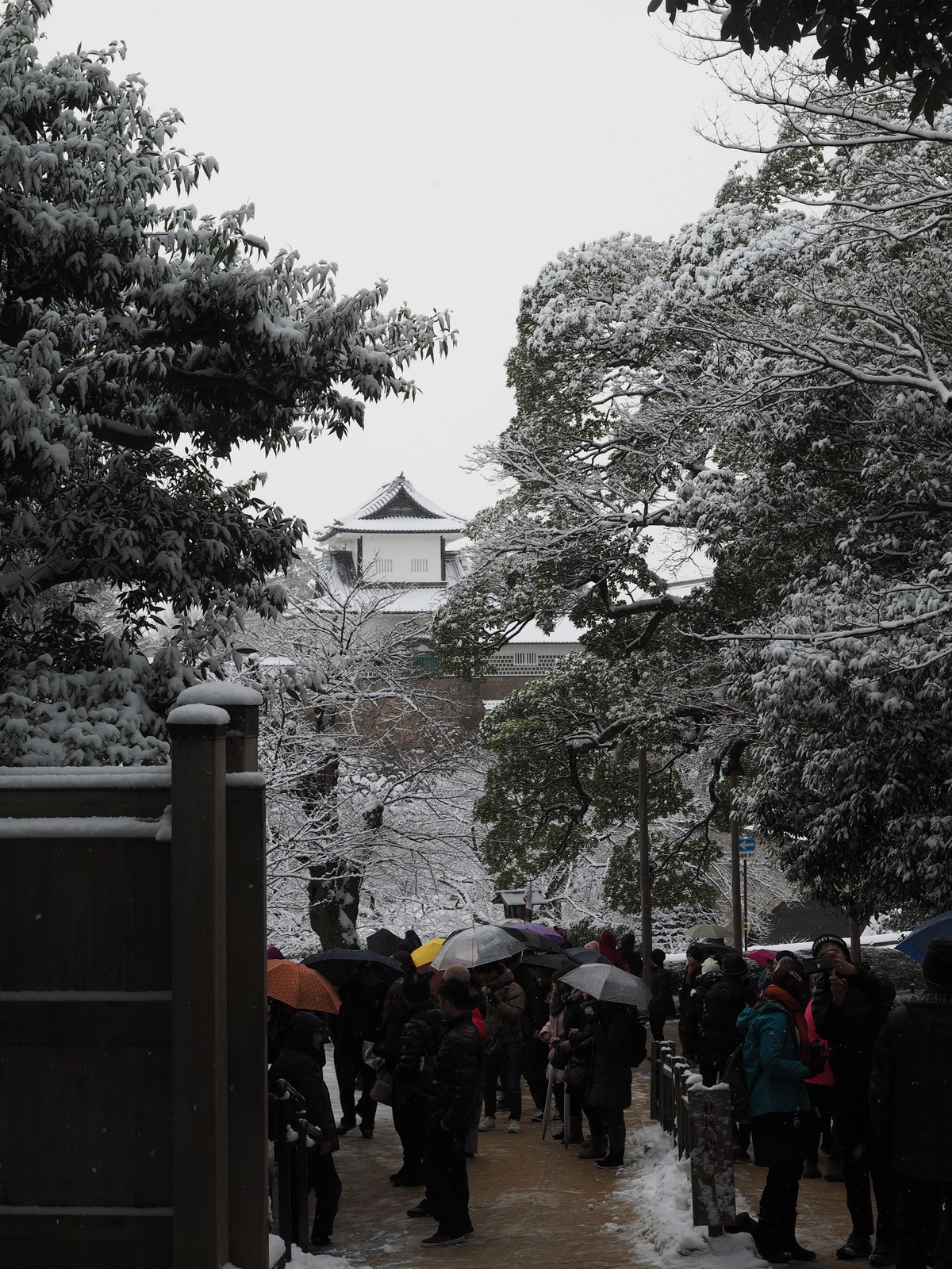 f:id:k10no3:20190210092134j:plain