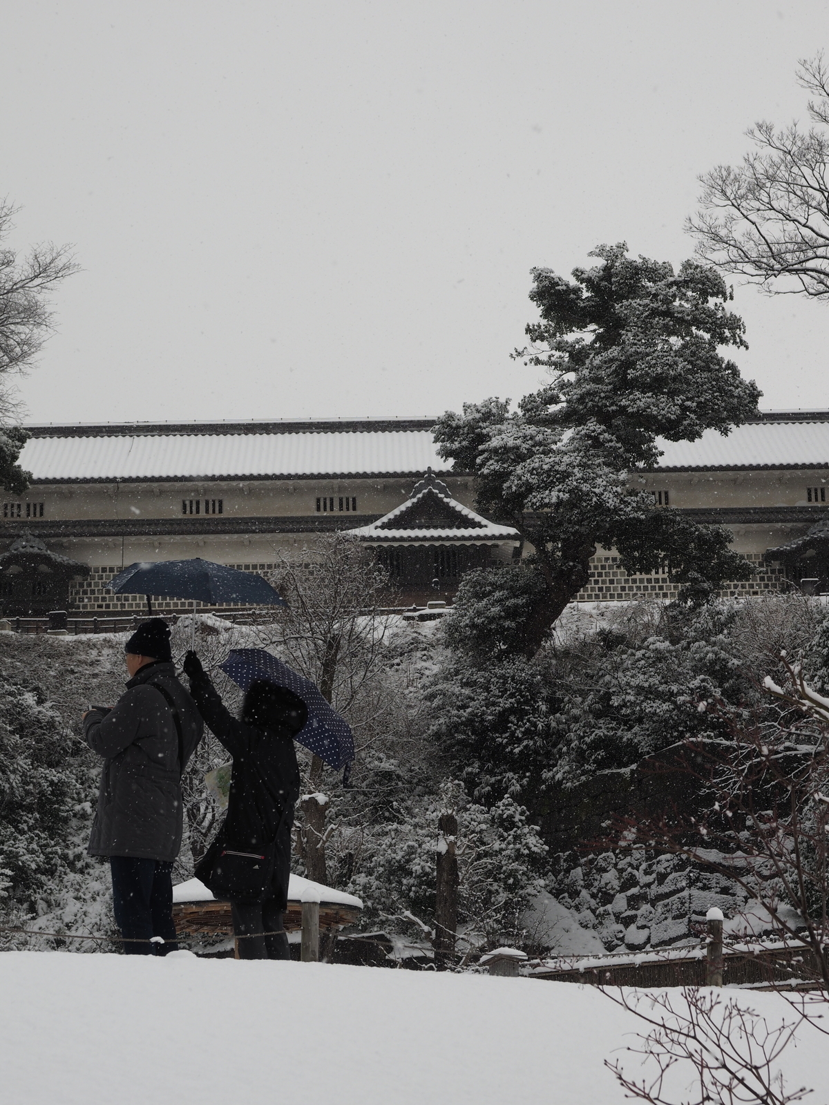 f:id:k10no3:20190210095416j:plain