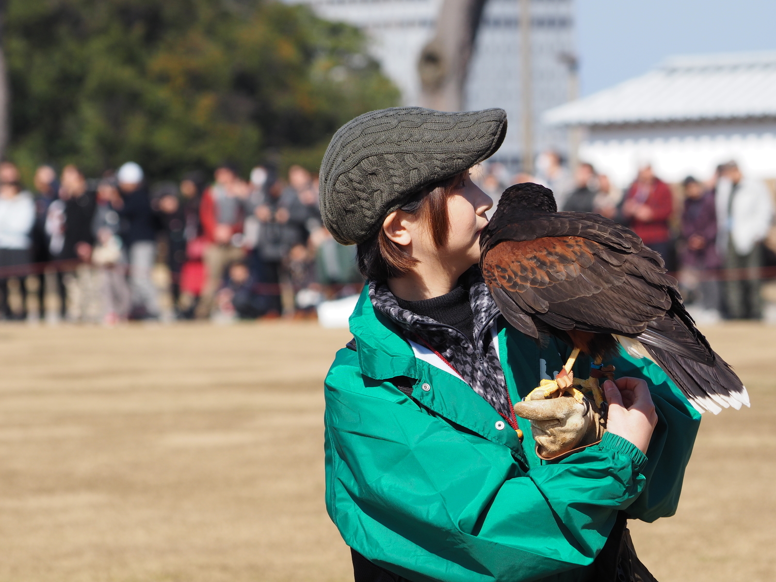 f:id:k10no3:20190224110409j:plain