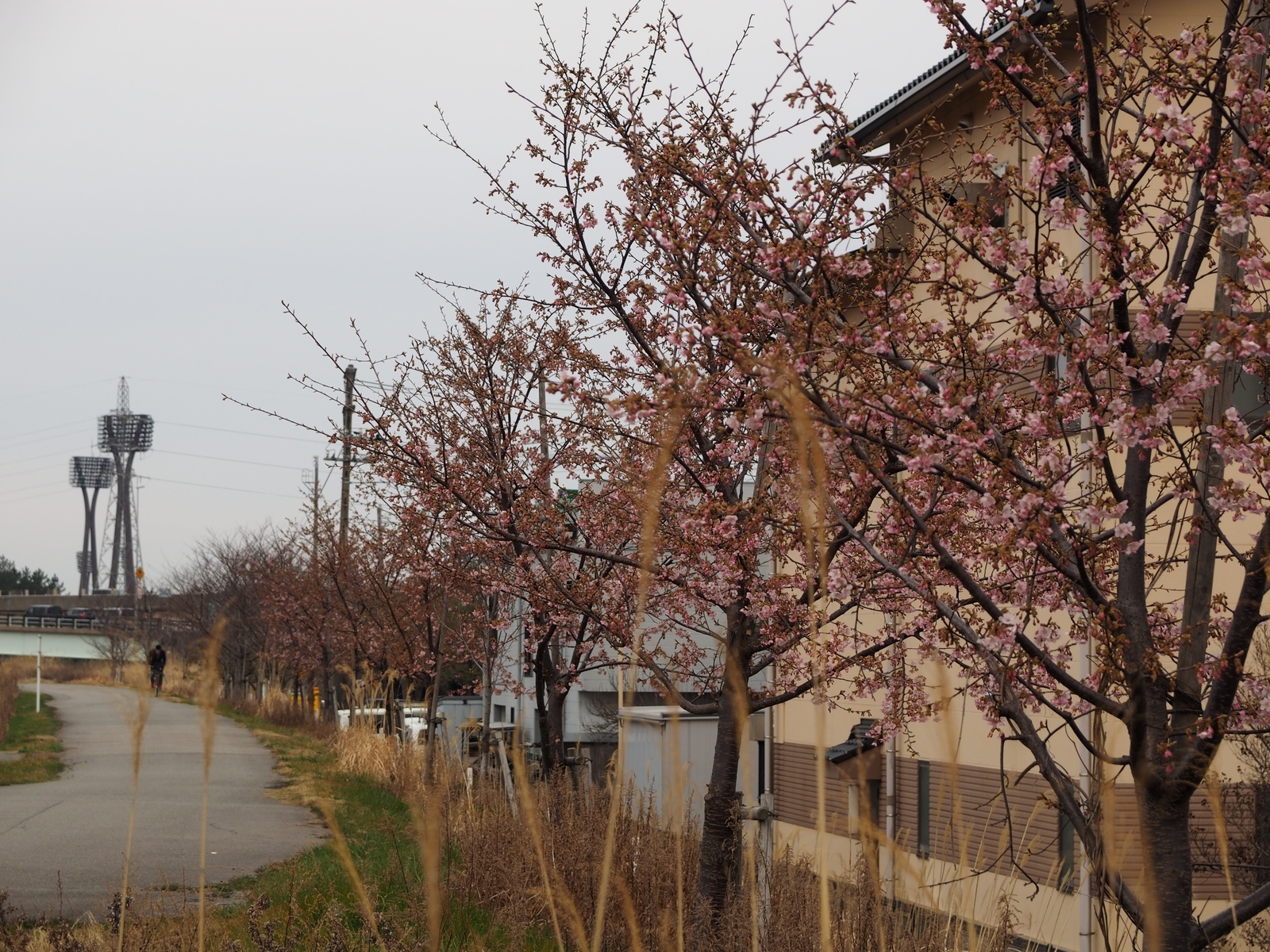 f:id:k10no3:20190227073112j:plain f:id:k10no3:20190227073112j:plain