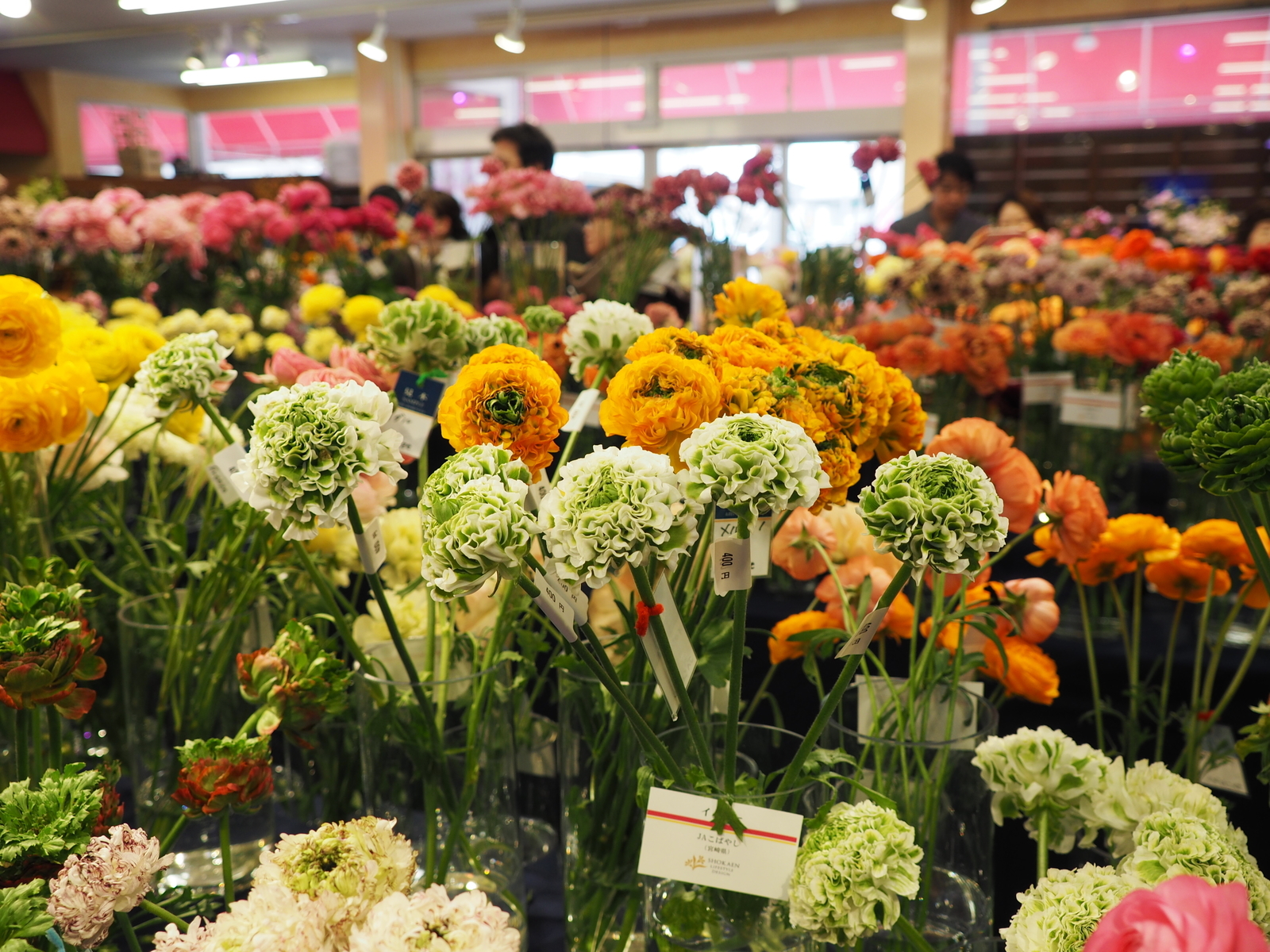 f:id:k10no3:20190303131350j:plain