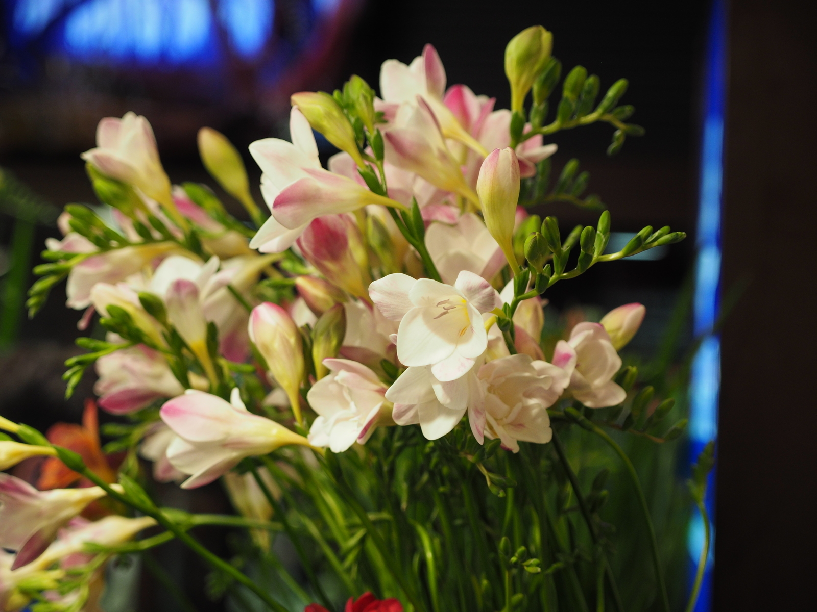 f:id:k10no3:20190303131800j:plain