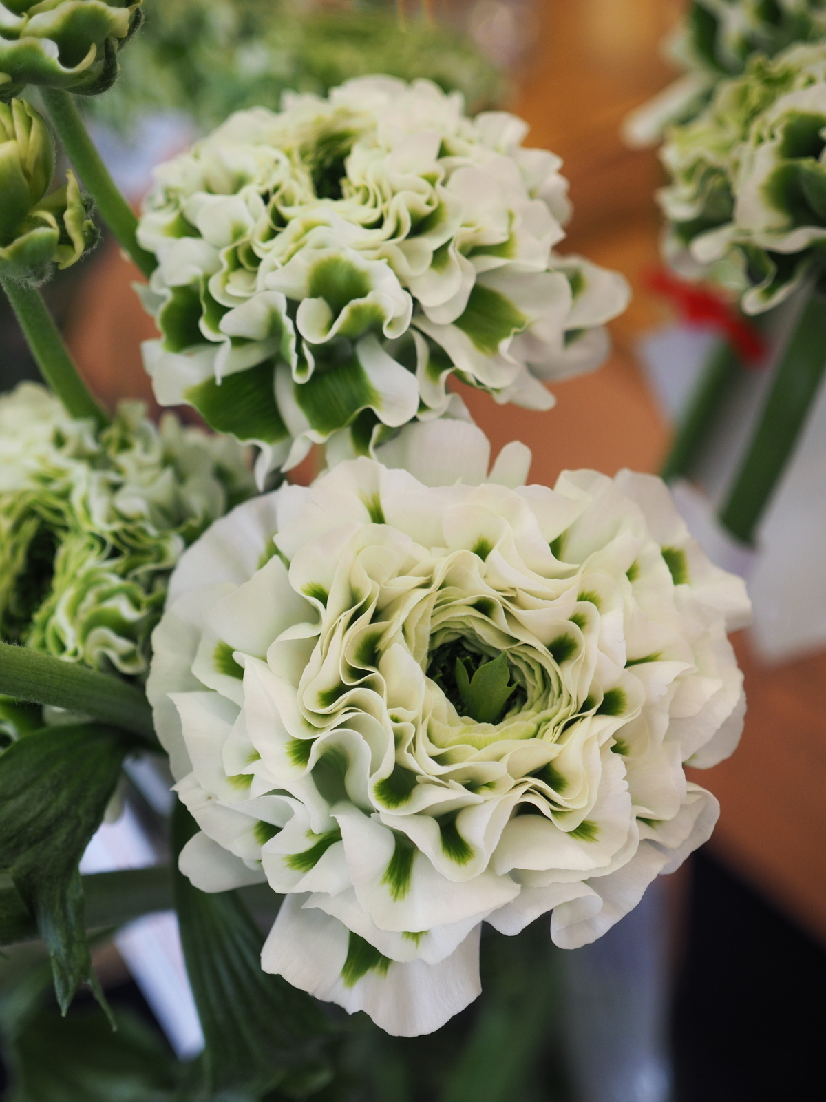 f:id:k10no3:20190303132054j:plain