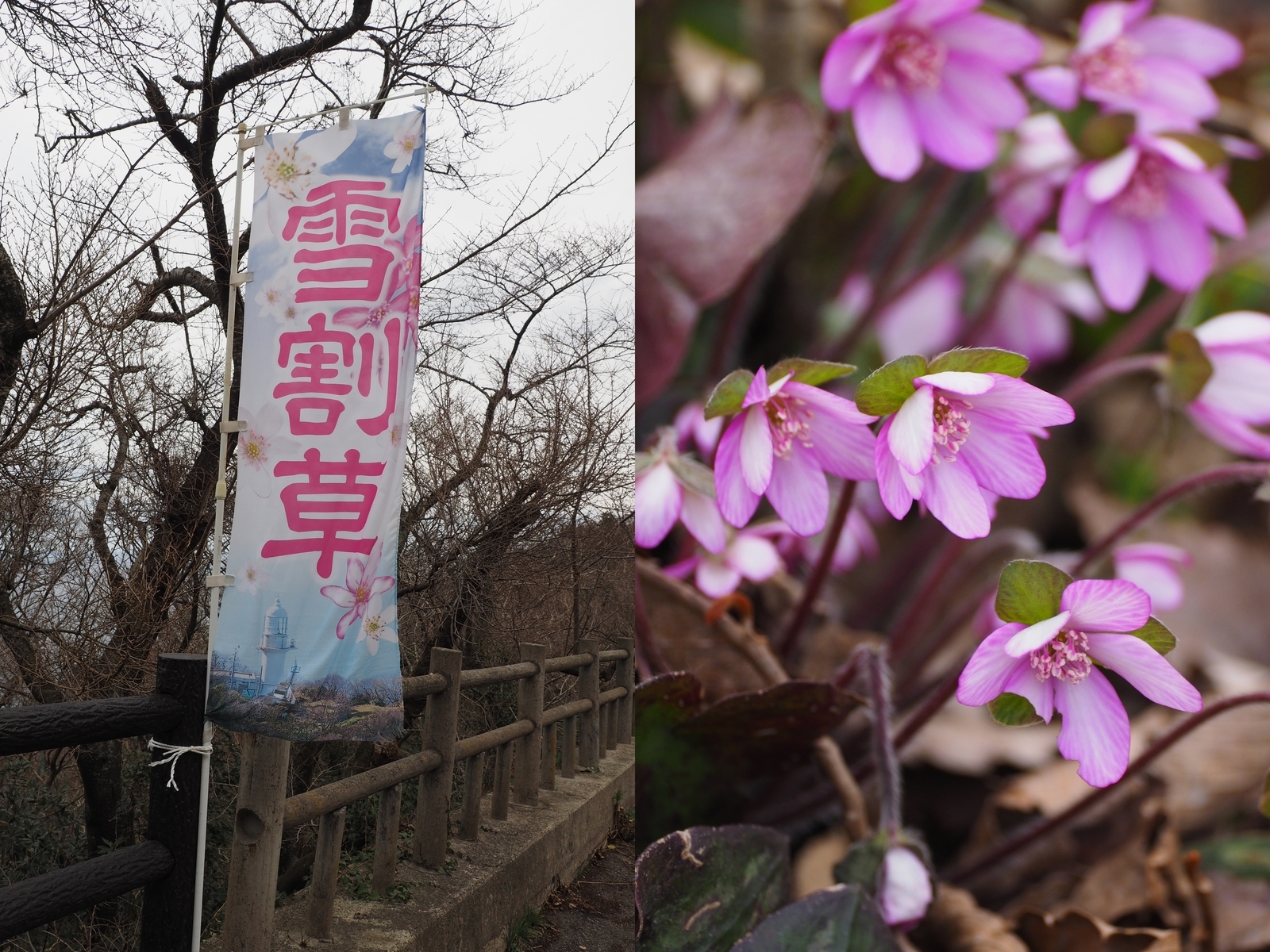 f:id:k10no3:20190323091852j:plain