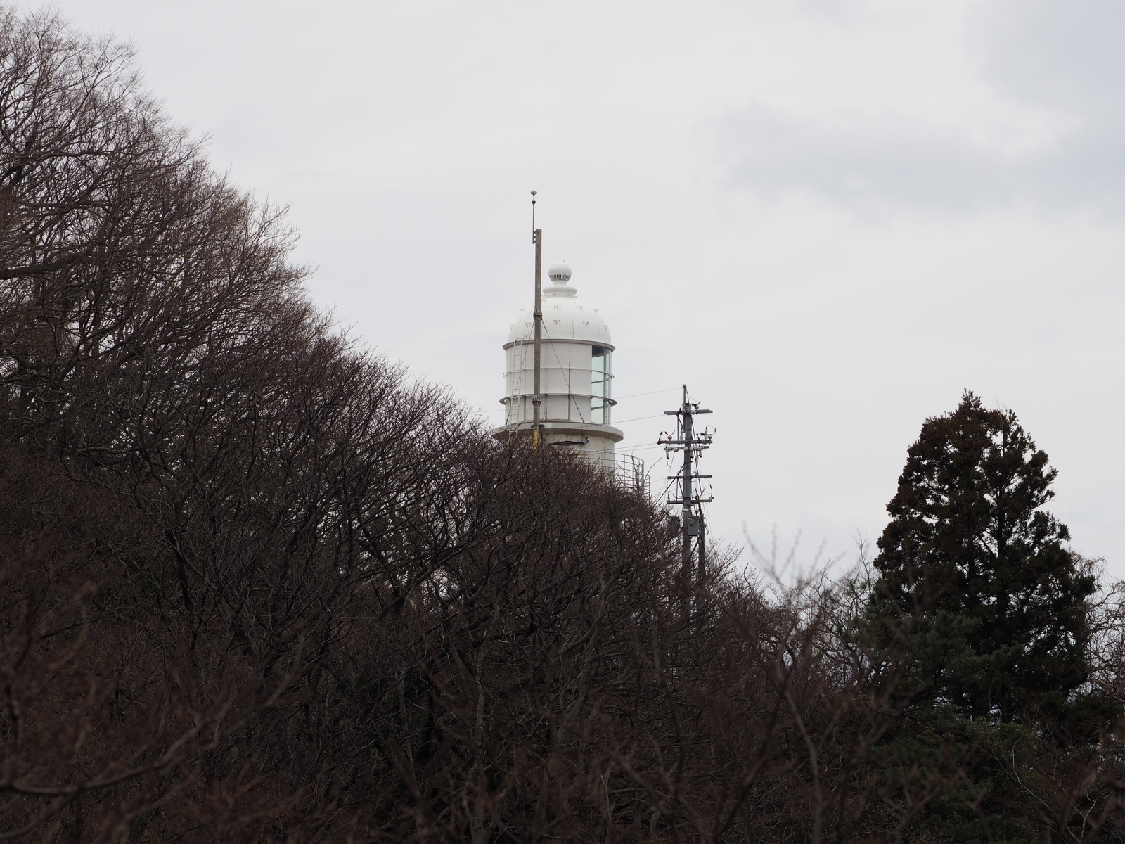 f:id:k10no3:20190323101947j:plain