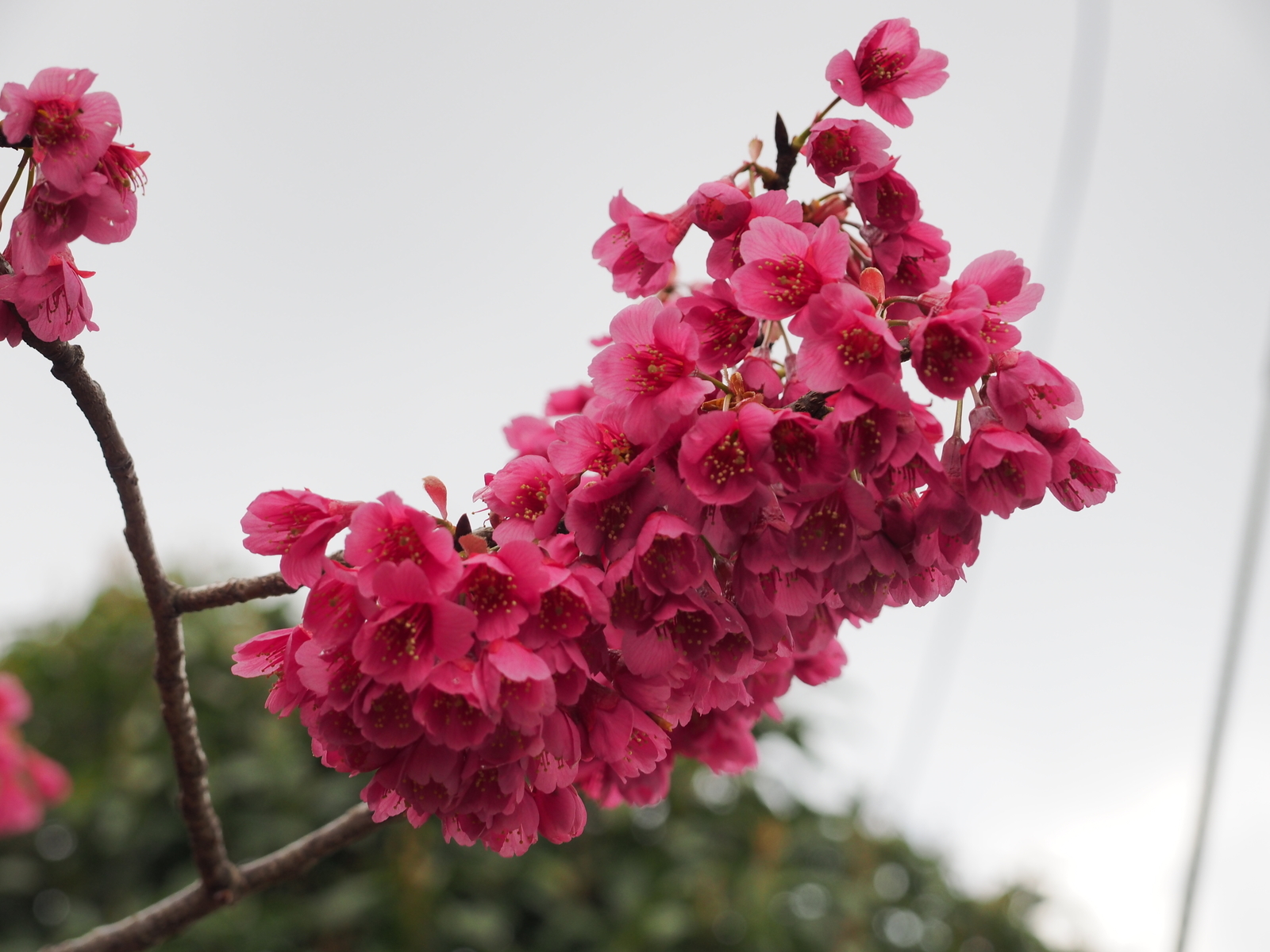 f:id:k10no3:20190324103051j:plain f:id:k10no3:20190324103051j:plain