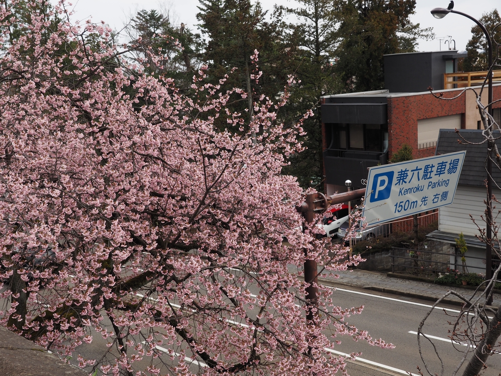 f:id:k10no3:20190324105101j:plain