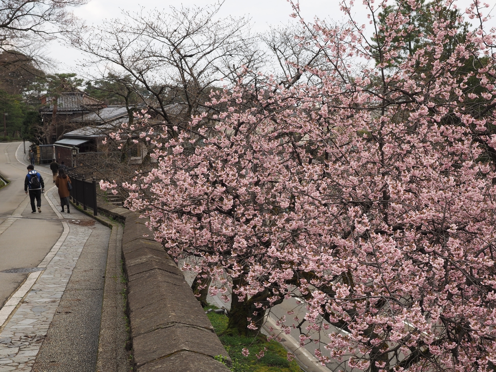 f:id:k10no3:20190324105516j:plain