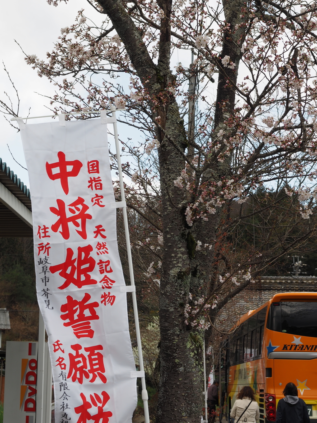 f:id:k10no3:20190331112300j:plain f:id:k10no3:20190331112300j:plain