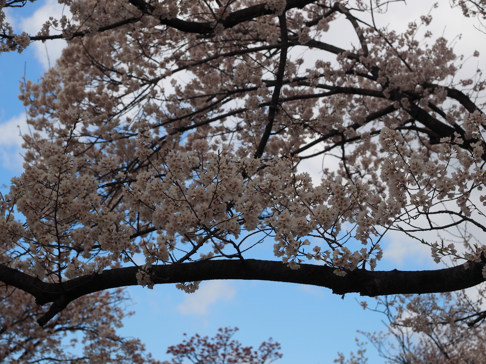 f:id:k10no3:20190331120508j:plain