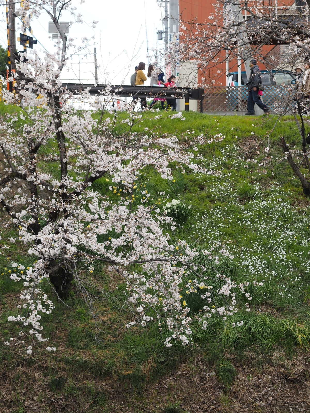 f:id:k10no3:20190331121648j:plain f:id:k10no3:20190331121648j:plain