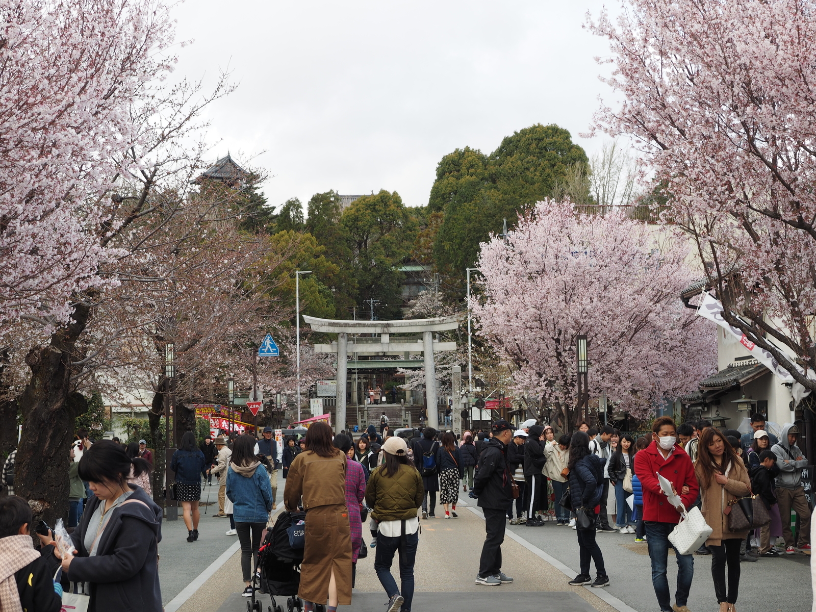 f:id:k10no3:20190331155309j:plain f:id:k10no3:20190331155309j:plain