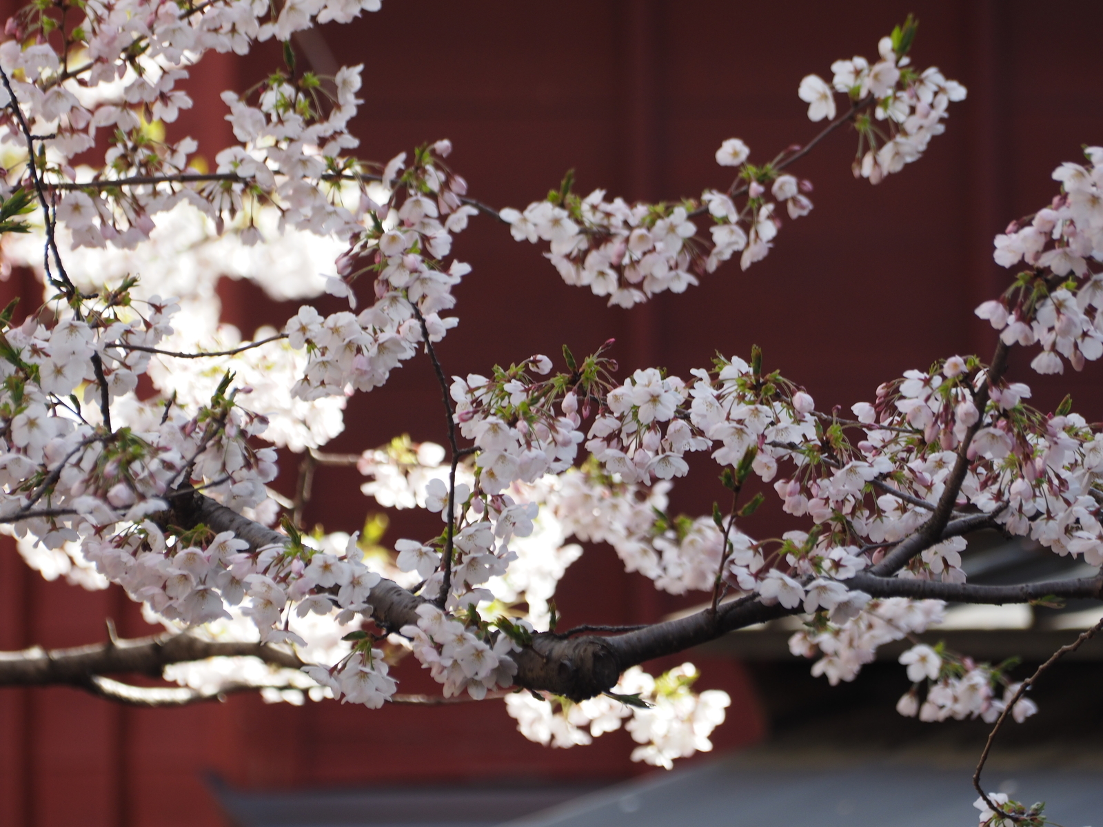 f:id:k10no3:20190406082918j:plain