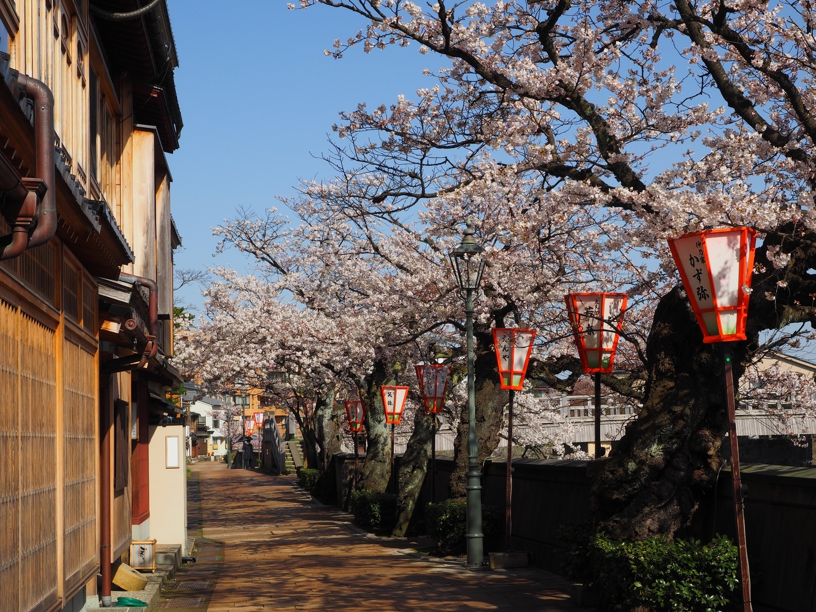f:id:k10no3:20190406083602j:plain
