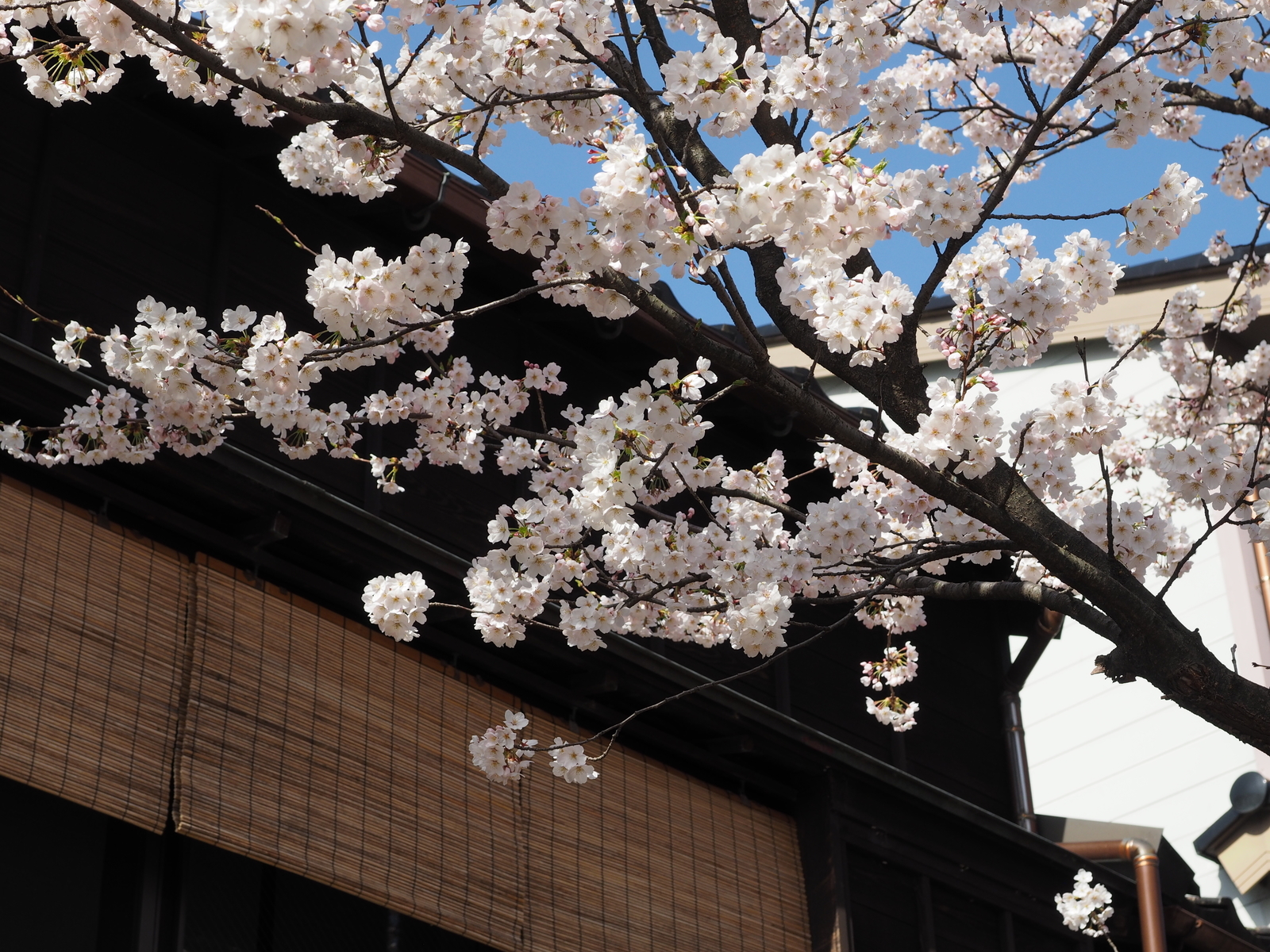 f:id:k10no3:20190406084214j:plain f:id:k10no3:20190406084214j:plain