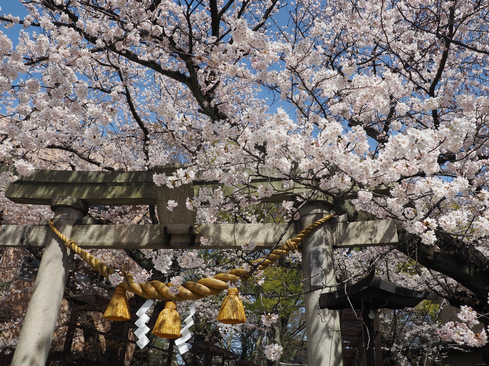 f:id:k10no3:20190406104939j:plain f:id:k10no3:20190406104939j:plain