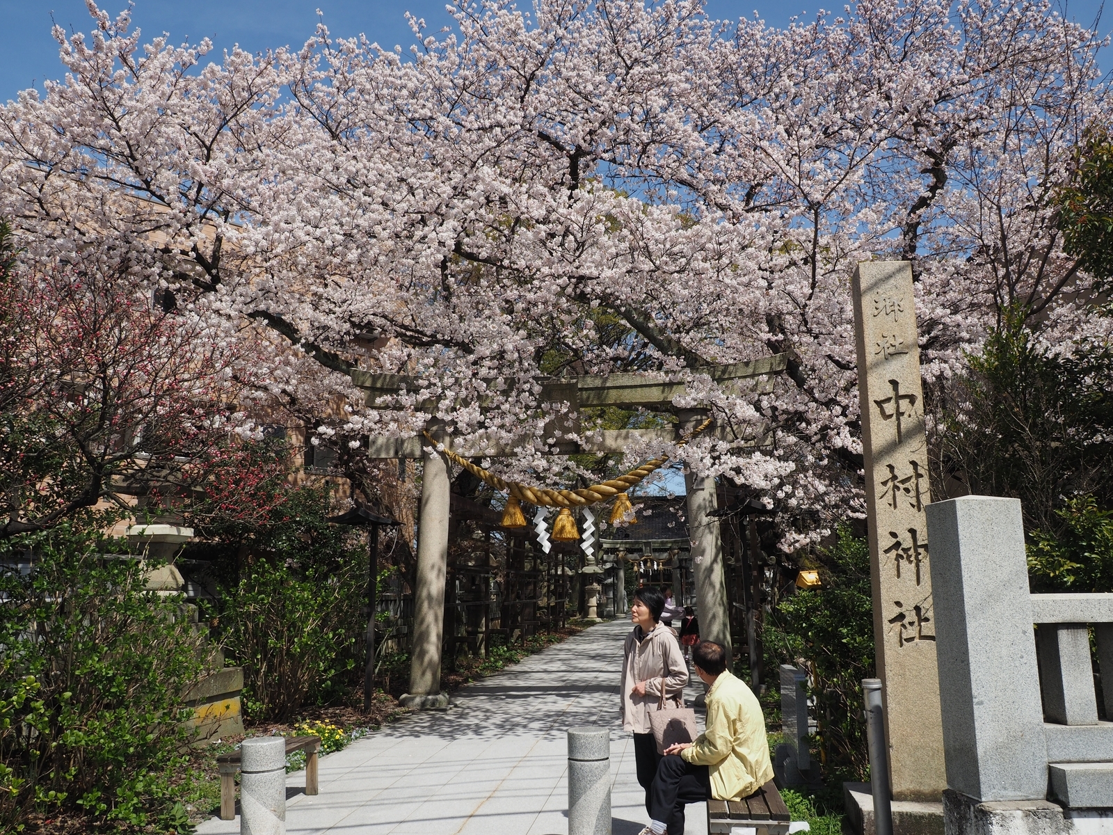 f:id:k10no3:20190406104959j:plain