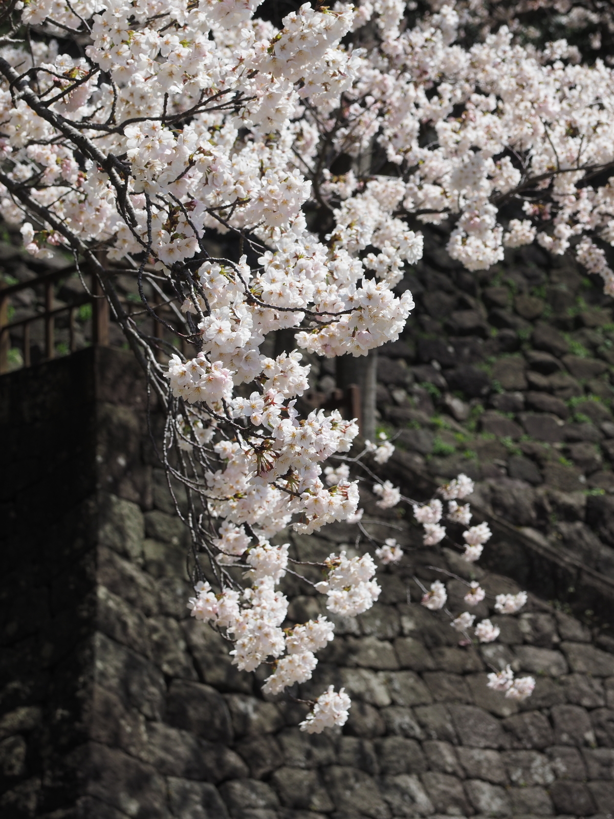f:id:k10no3:20190406111252j:plain f:id:k10no3:20190406111252j:plain