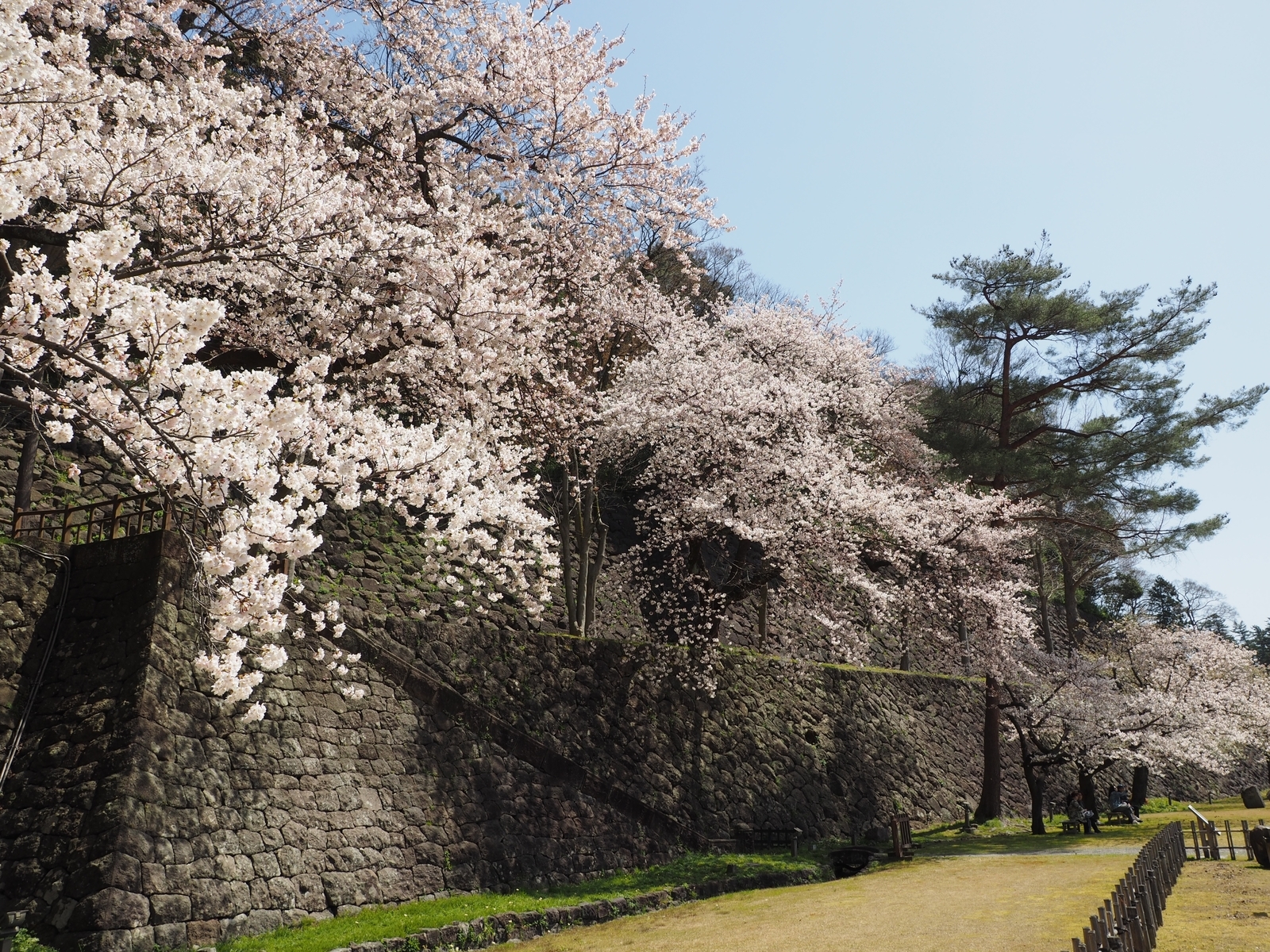 f:id:k10no3:20190406111302j:plain f:id:k10no3:20190406111302j:plain