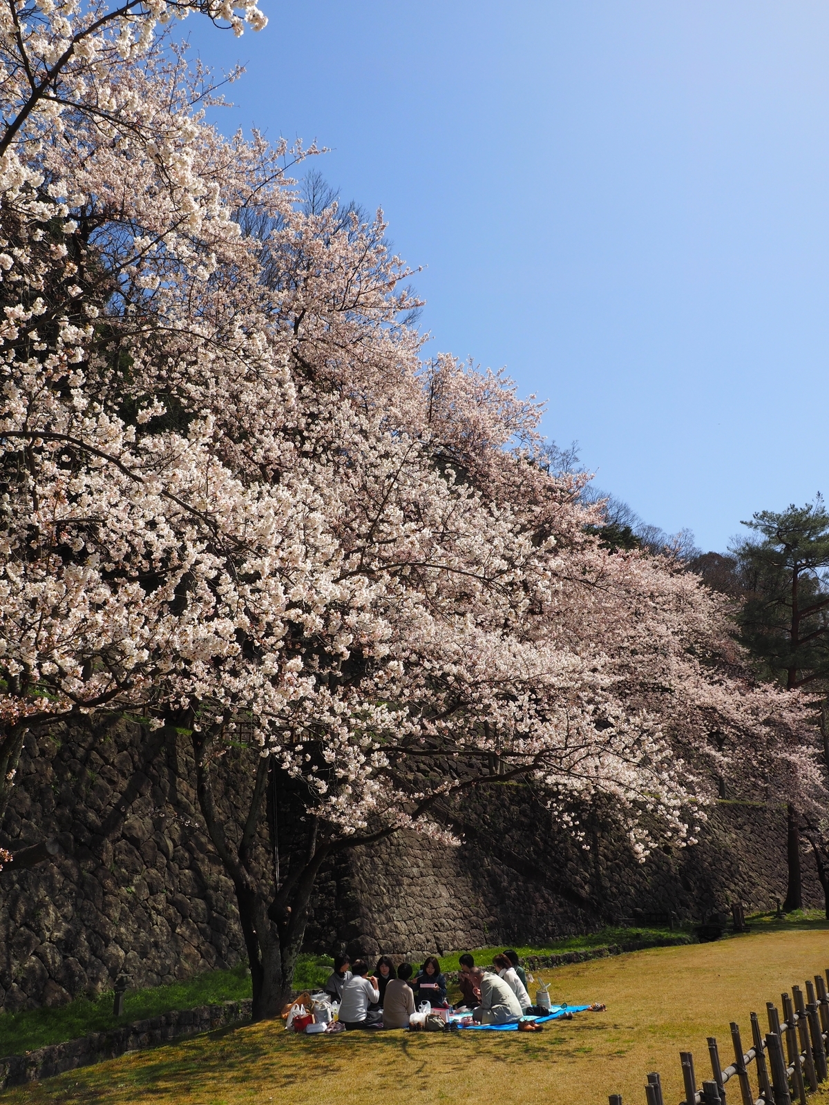 f:id:k10no3:20190406111320j:plain