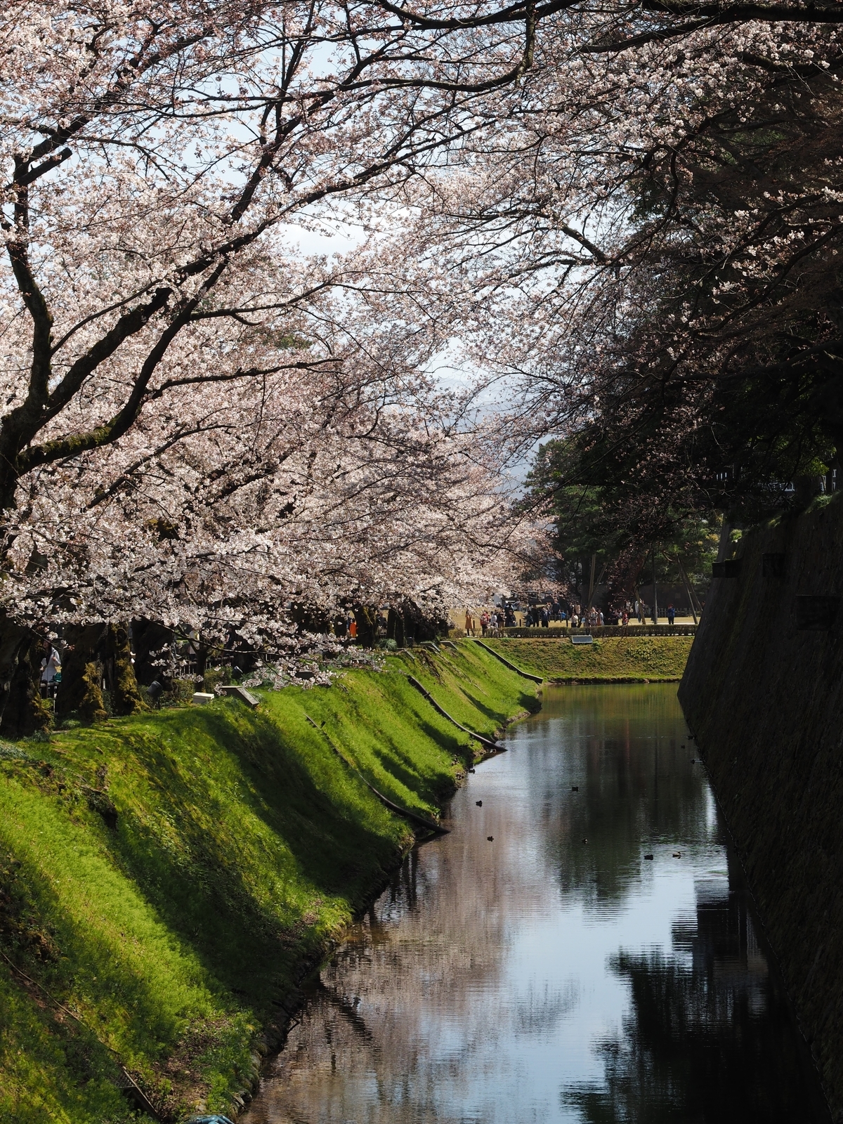 f:id:k10no3:20190406112253j:plain