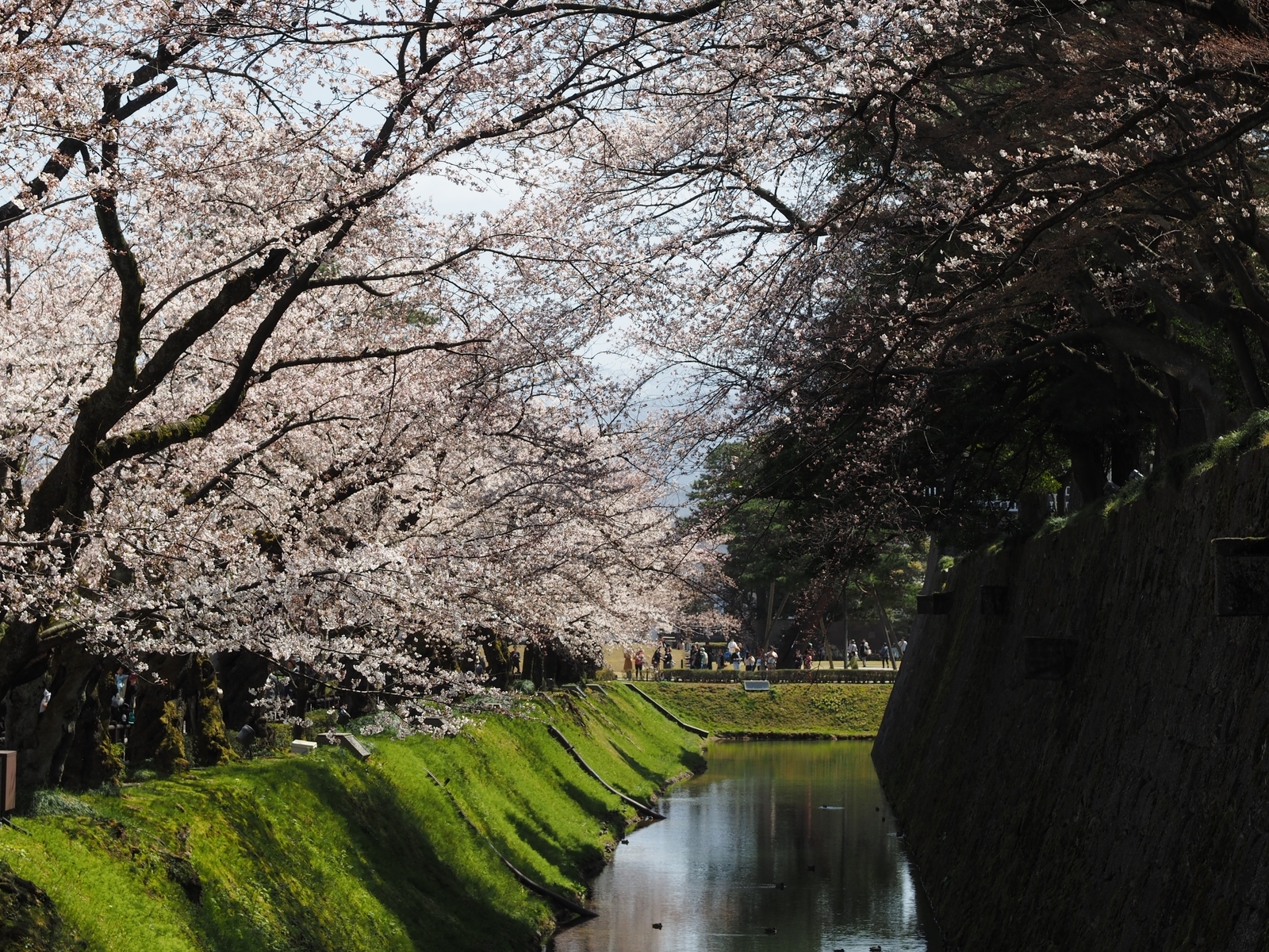 f:id:k10no3:20190406112306j:plain f:id:k10no3:20190406112306j:plain