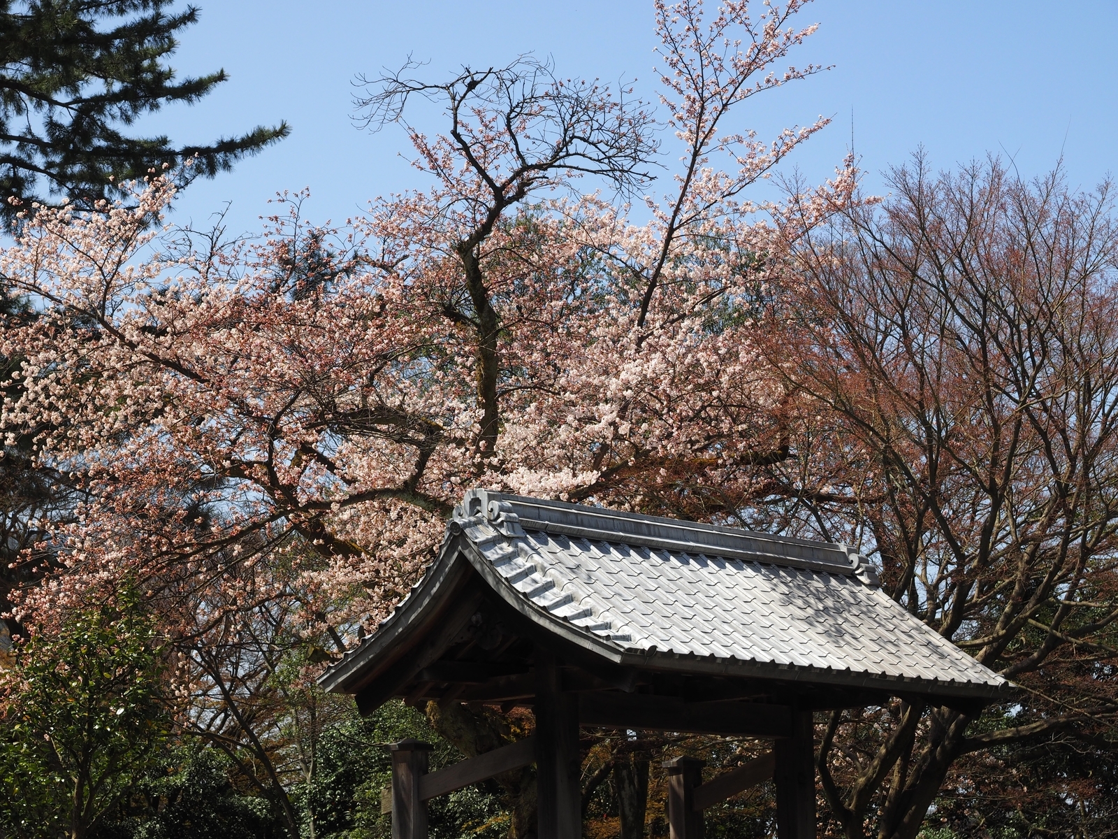 f:id:k10no3:20190406112340j:plain f:id:k10no3:20190406112340j:plain