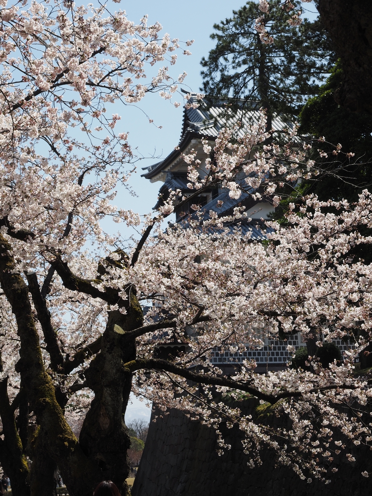 f:id:k10no3:20190406112629j:plain