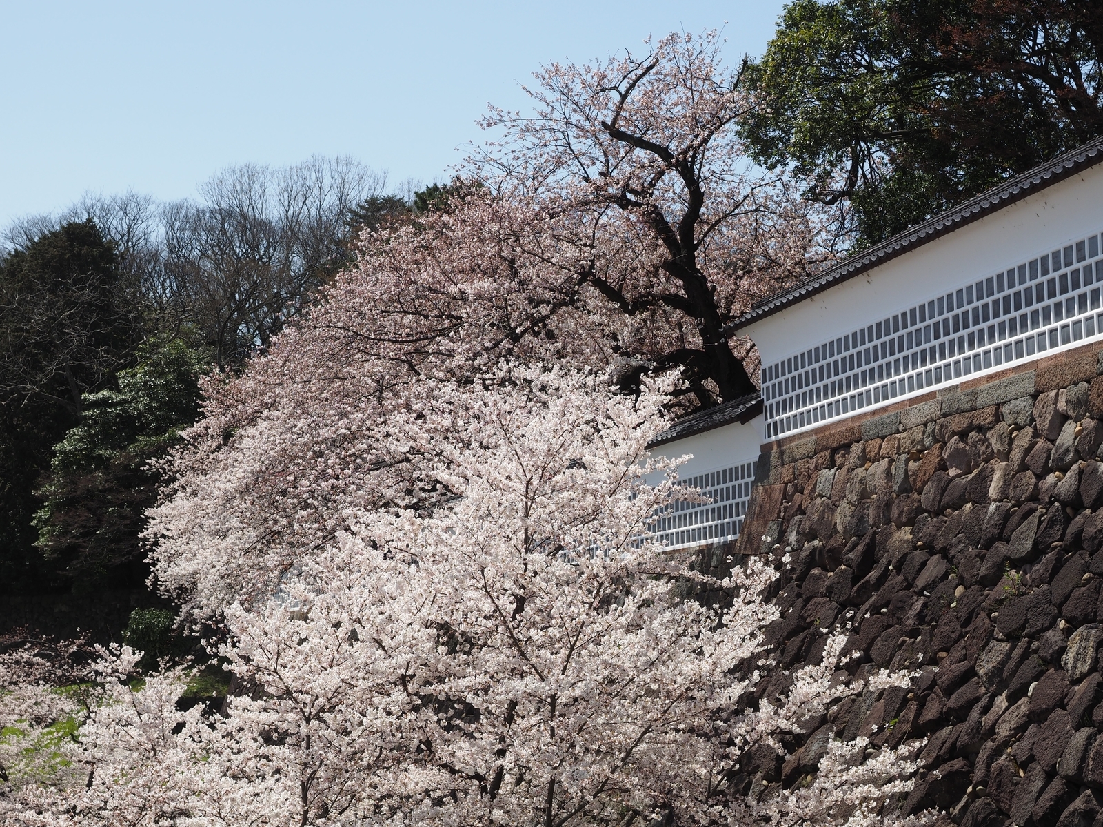 f:id:k10no3:20190406114020j:plain