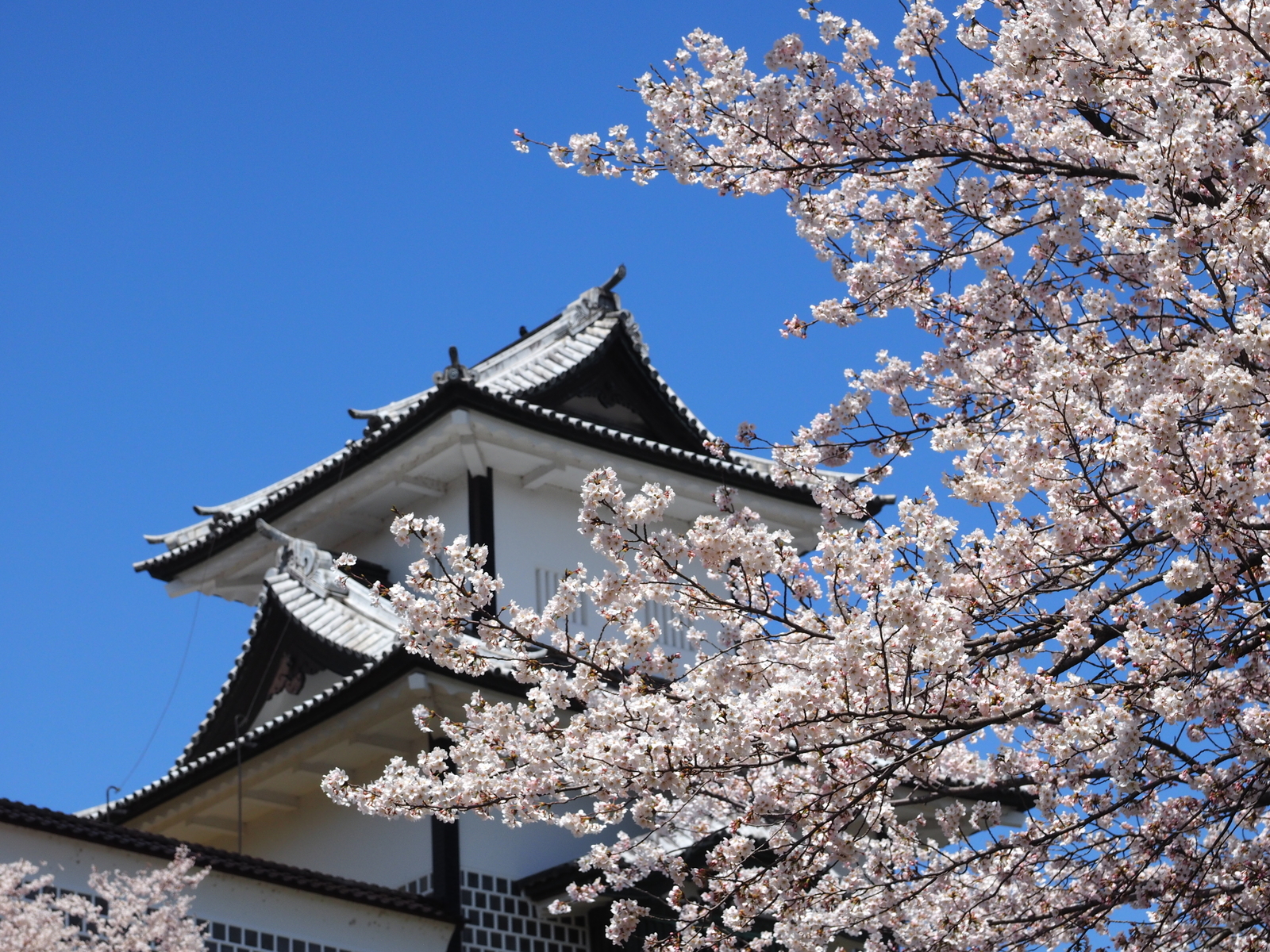 f:id:k10no3:20190406115751j:plain f:id:k10no3:20190406115751j:plain
