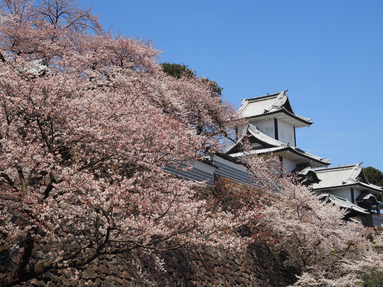 f:id:k10no3:20190406120045j:plain