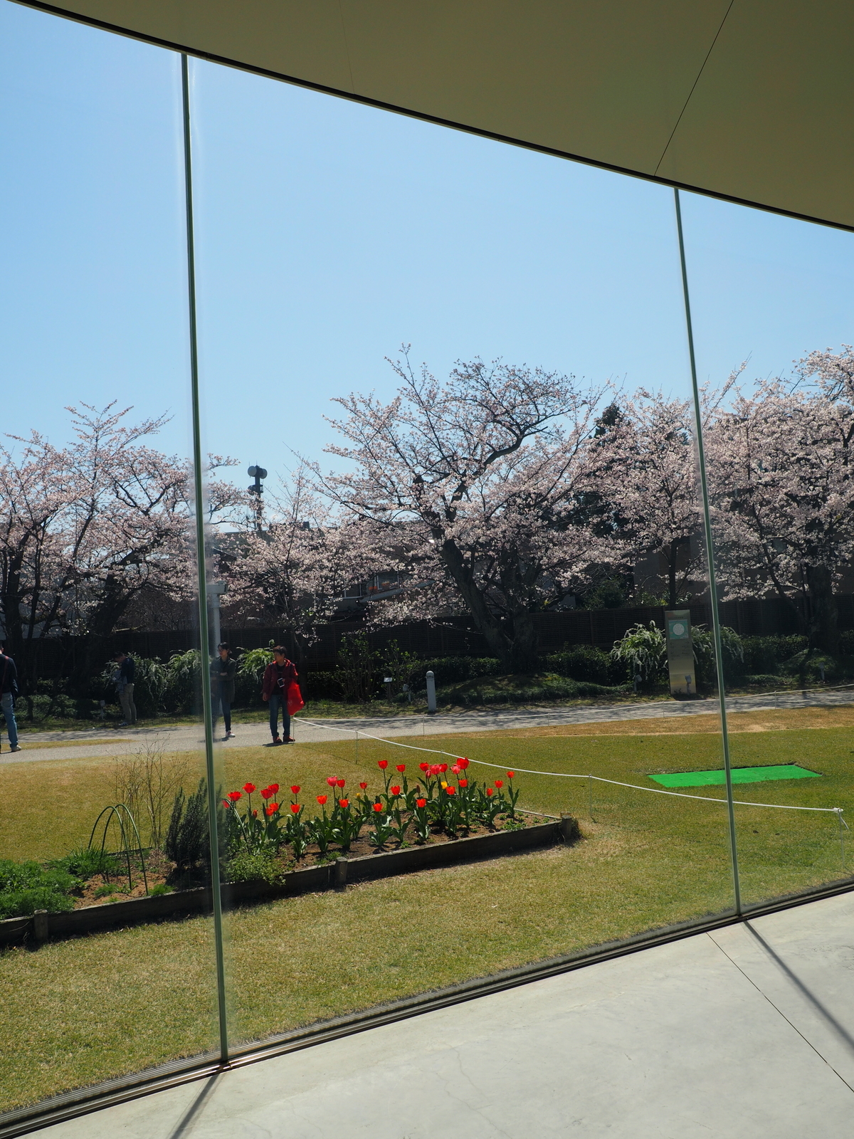 f:id:k10no3:20190406121136j:plain