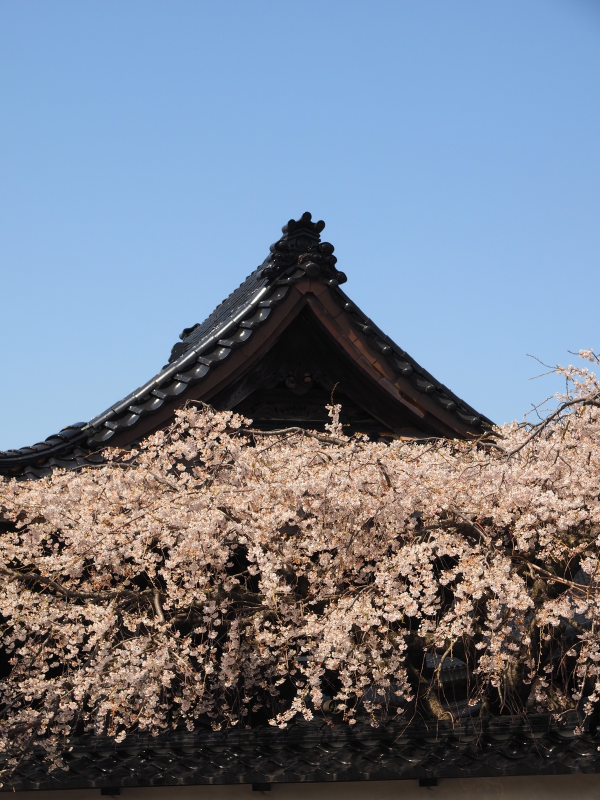 f:id:k10no3:20190406125014j:plain