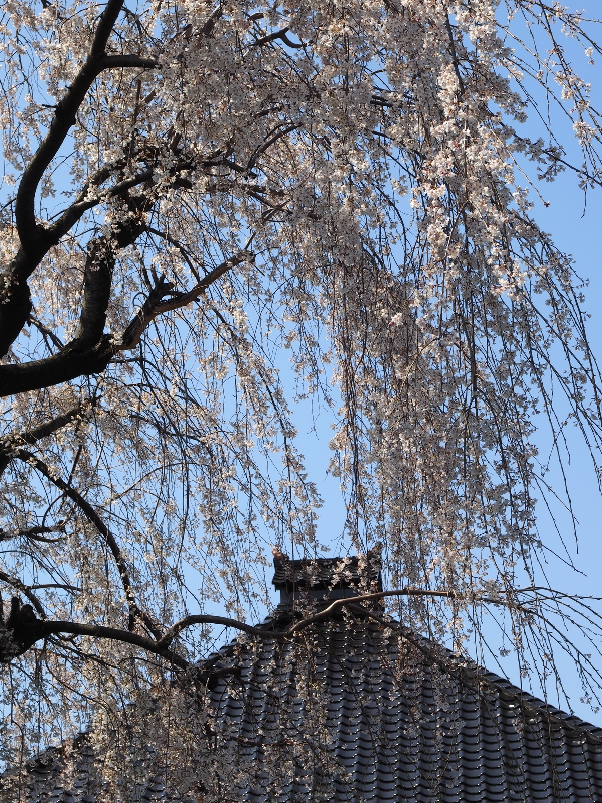 f:id:k10no3:20190406130158j:plain
