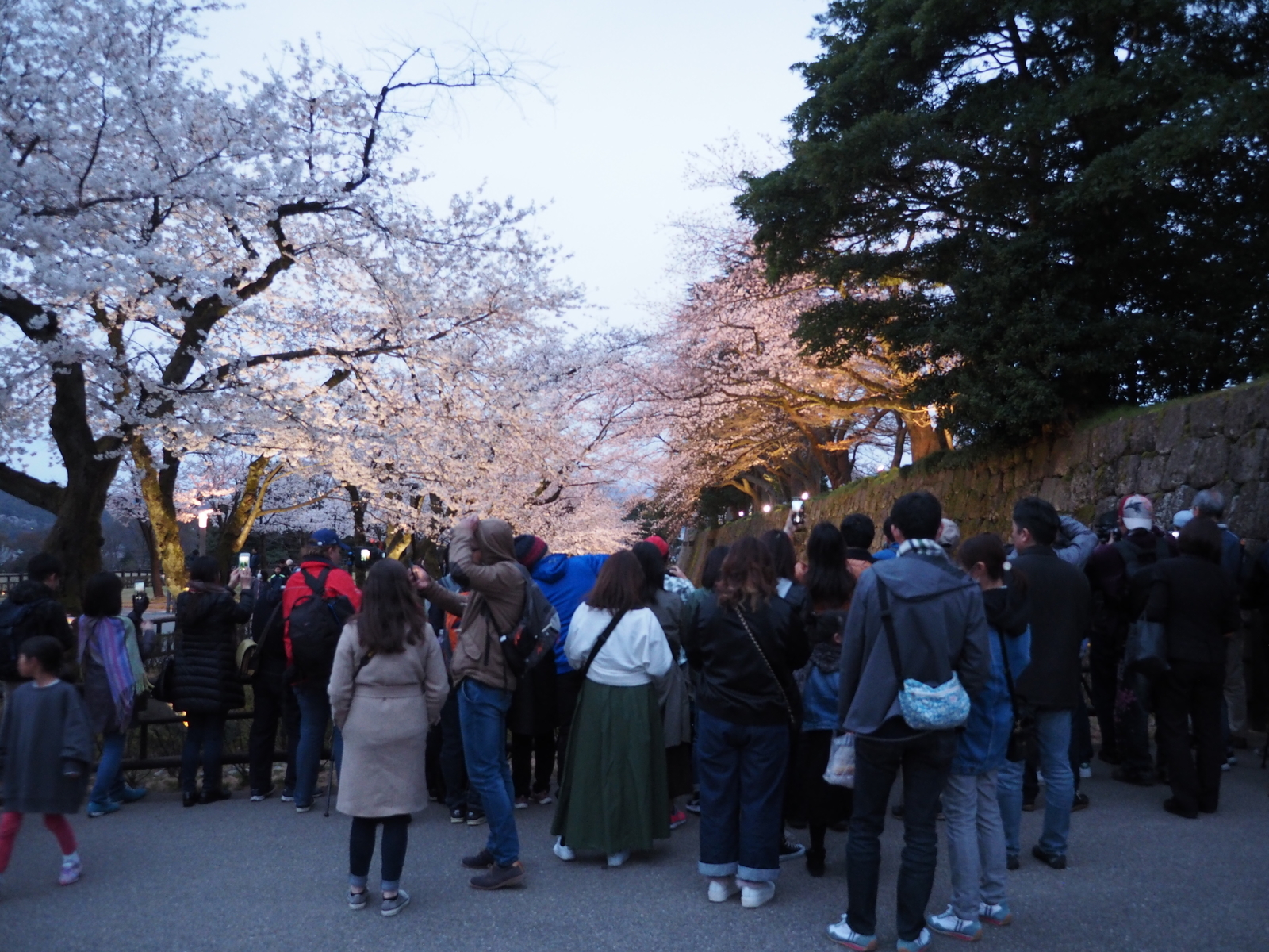 f:id:k10no3:20190406182055j:plain