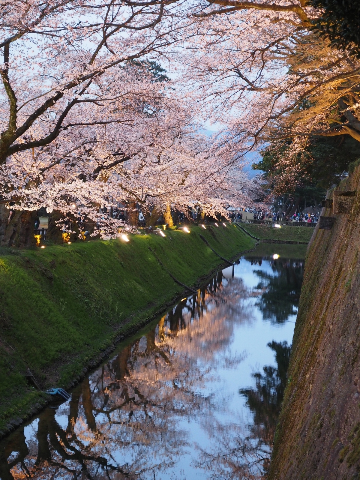 f:id:k10no3:20190406182120j:plain