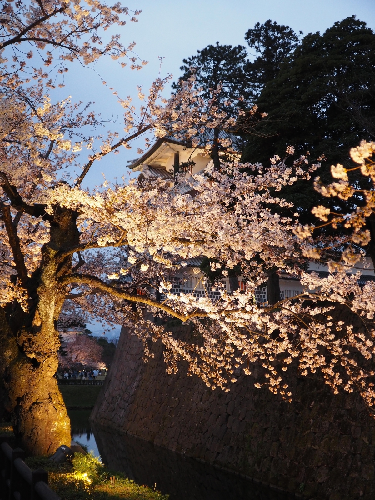 f:id:k10no3:20190406182423j:plain