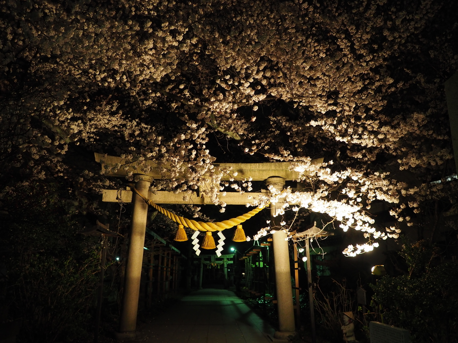 f:id:k10no3:20190406191928j:plain