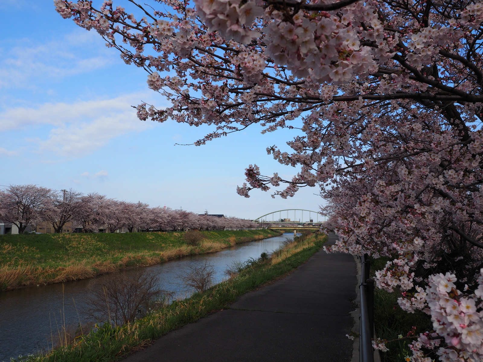 f:id:k10no3:20190408072141j:plain f:id:k10no3:20190408072141j:plain