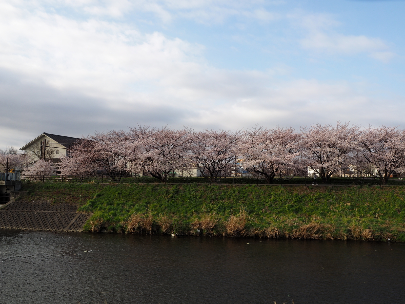 f:id:k10no3:20190408072835j:plain f:id:k10no3:20190408072835j:plain