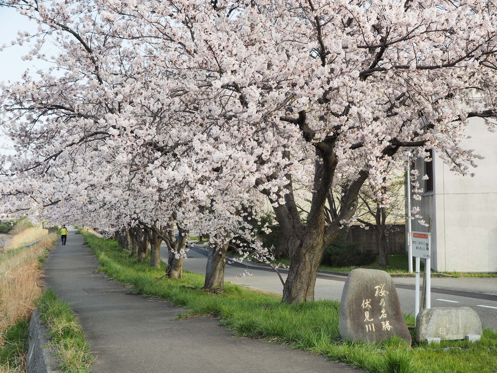 f:id:k10no3:20190408073037j:plain f:id:k10no3:20190408073037j:plain