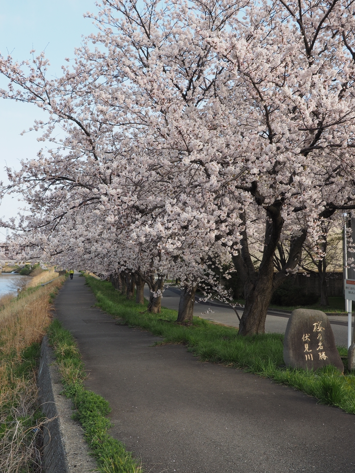 f:id:k10no3:20190408073047j:plain f:id:k10no3:20190408073047j:plain