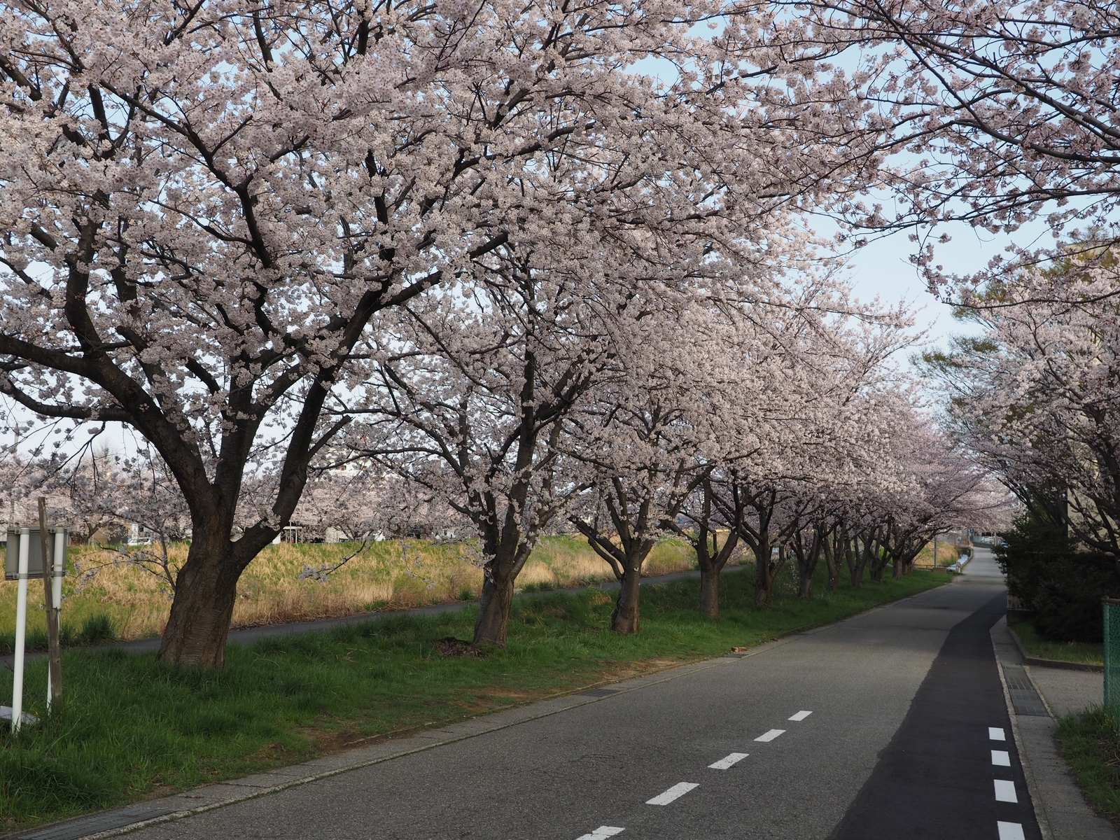 f:id:k10no3:20190408073255j:plain f:id:k10no3:20190408073255j:plain