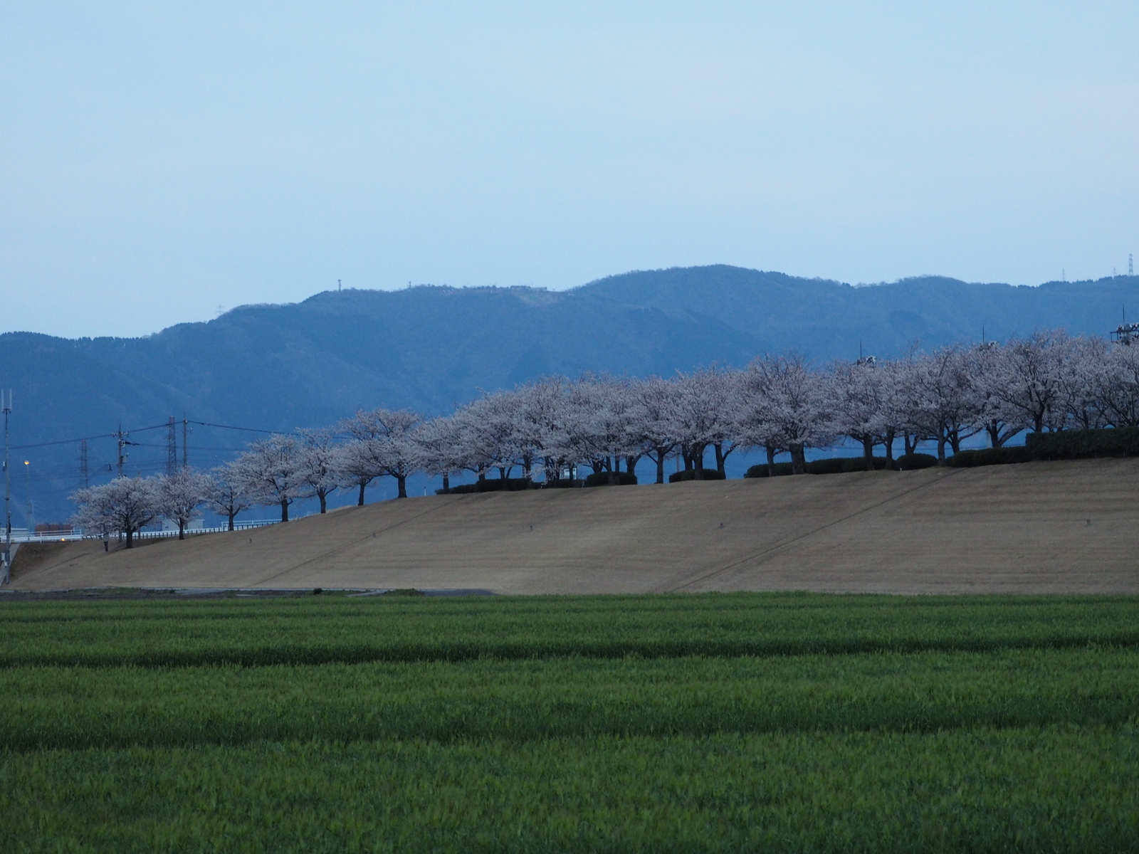 f:id:k10no3:20190409181254j:plain